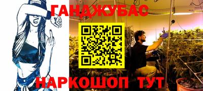 стафф Славгород