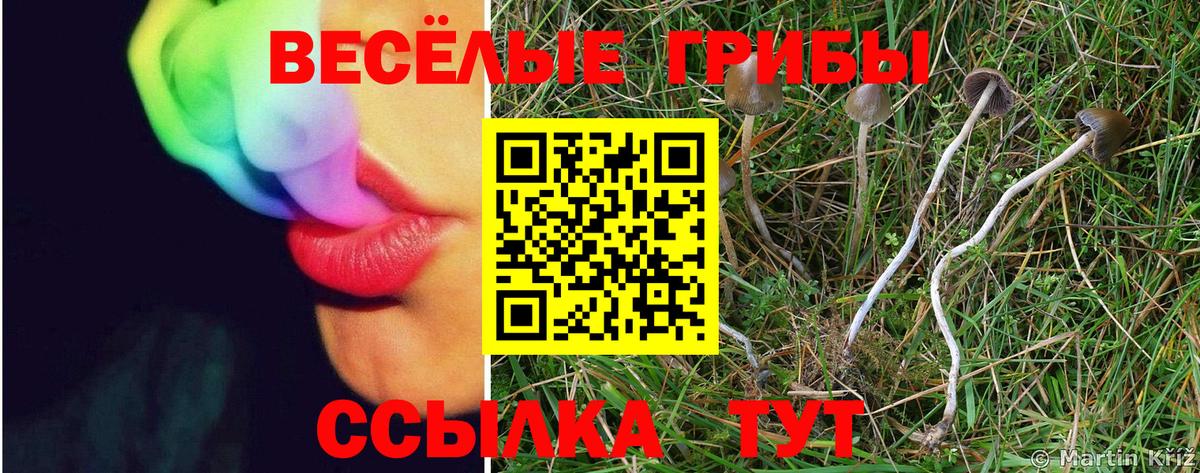 наркотики  Вход с VPN  Нижневартовск  Галлюциногенные грибы GOLDEN TEACHER 